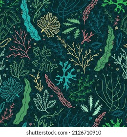 Cute seaweed seamless pattern, hand drawn underwater background, great for textiles, banners, wallpapers, wrapping - vector design