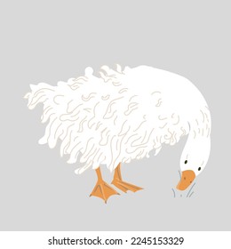 Cute Sebastopol goose. Cartoon vector illustration isolated on grey background