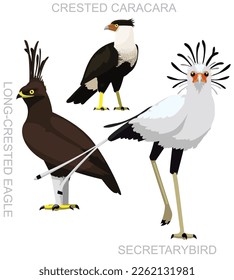 Cute Secretary Bird Eagle Caracara Set Cartoon Vector