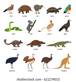 Cute Set Australian Animals Stock Vector (Royalty Free) 621274013