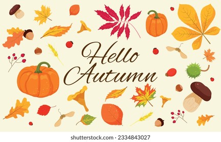 Cute set of autumn leaves, mushrooms, berries, nuts and acorns. Vector illustration of autumn seasonal elements.	