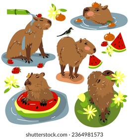 Cute set of capybaras. Funny capybara characters are swimming in the water, taking a shower, walking, relaxing. Charming cute animal Children's flat vector illustrations isolated on a white background