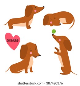 Cute set of dachshund illustration in different poses. Funny vector portrait of a dog for decoration and design