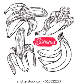 cute set of different bananas. hand-drawn illustration