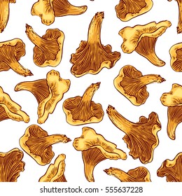 cute set of different chanterelles. hand drawn illustration