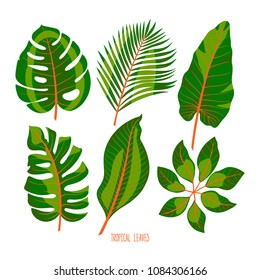 Cute set of different green tropical leaves isolated on white background