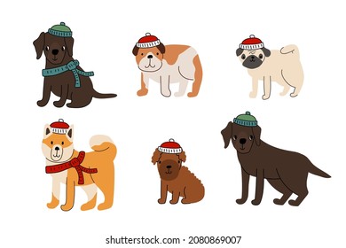 Cute set of dogs in winter knitted red white green blue hats and scarfs. Labrador retriever, poodle puppy, bulldog, akita inu, pug. Vector illustration isolated on white background