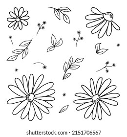 Cute set of flowers chamomile with leaves and branches in doodle style for different types of decoration, postcards, stickers.
