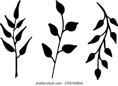 Rutsche Menge handgezogener Waldblätter und Äste. Traditionelle Blätter in Tinte, Doodle-Stil für Hochzeitsdekoration und Arrangements.