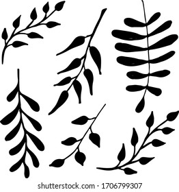 Cute set of hand drawn forest leaves and branches. Traditional leaves in ink, doodle style for wedding decoration and arrangements.