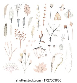Cute set of hand drawn plants. A collection of dried flowers. Vintage style for your illustrations.