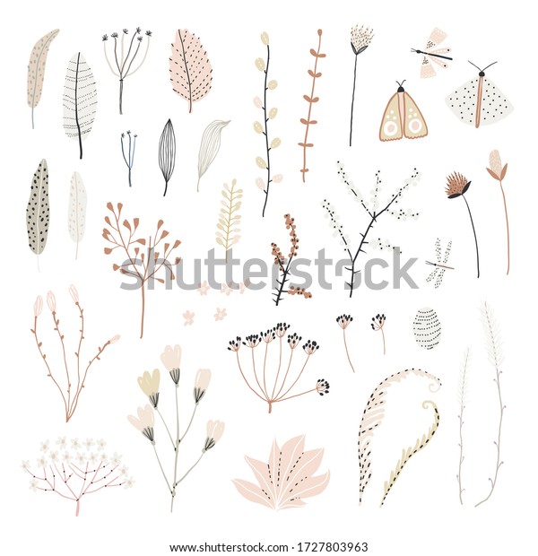 かわいい手描きの植物のセット 干花のコレクション イラストのビンテージスタイル のベクター画像素材 ロイヤリティフリー
