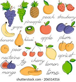 Cute set of hand drawn sketchy fresh fruits icons.