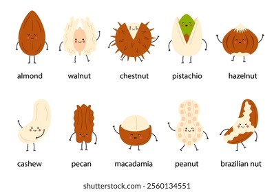 Cute set of happy nuts with names. Cartoon nuts isolated on white background. Peanut, hazelnut, walnut, Brazilian nut, pistachio, cashew, pecan, almond characters. 