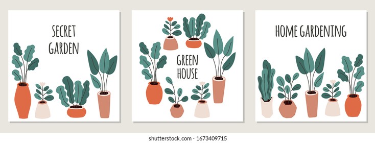 Cute set of home gardening frame backgrounds, trendy hand drawn plants in pots in simple flat style as secret garden, urban jungle or greenhouse