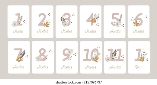 Cute Set Of Monthly Milestone Cards. Baby Postcards With Numbers And Flowers For A Newborn Girl. Print Baby Shower, Baby's Birthday. Kids Collection Of 1-11 Months And 1 Year. Nursery Design