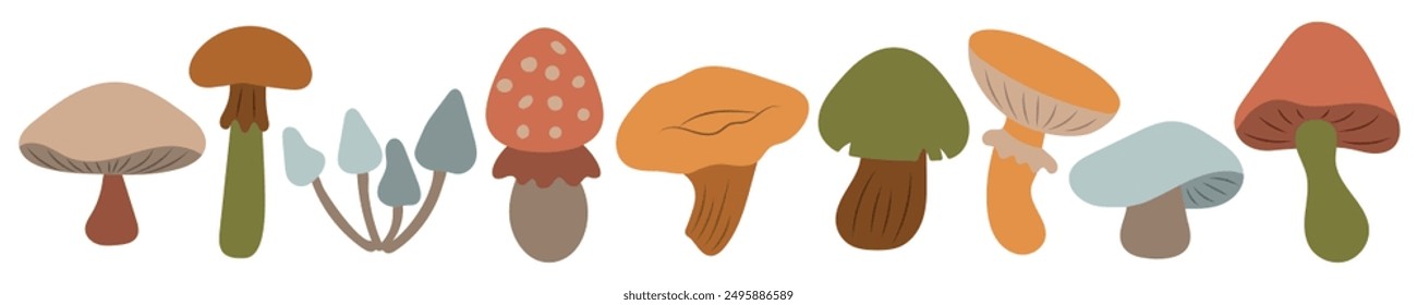 Cute set of mushrooms. Autumn, thanksgiving, autumn season. Drawn cosy design elements on isolated background. Flat style