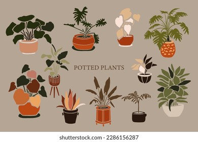 Cute set of potted houseplants . Vector