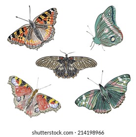 Cute set of realistic vector five butterflies.