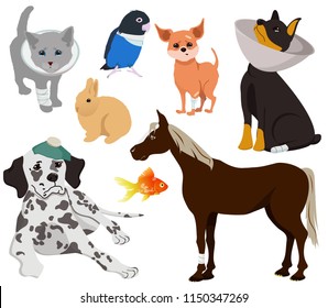 Cute set of sick animals, sick animals with allergies, fractures and other diseases. Dogs, cat, fish, horse, parrot, rabbit. Veterinary Clinic Modern vector flat design image isolated on white back