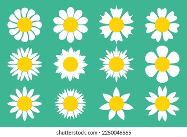 Cute set of simple white daisy flowers in flat cartoon style isolated on green background. Chamomile flowers, Chrysanthemum.