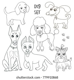 Cute set of six funny purebred dogs - poodle, doberman, german shepherd, yorkshire terrier and beagle on a white background. Vector illustration in cartoon style