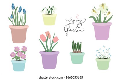 Conjunto lindo de flores de primavera en macetas con vectores de letras aislados