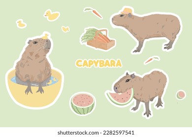 Cute set of stickers, vector illustrations of capybaras enjoying life, taking a bath, farmer capybaras and capybaras eating watermelon