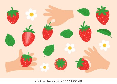 Cute set of strawberry: berries, flowers, leaves. Strawberries in hands. Sweet garden fruit. Fresh red berry slice. Cartoon hand drawn vector illustration