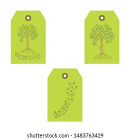 Cute set of tags or labels templates with ficus and lettering. Green backgrounds. Hand drawn doodle style illustration. Vector.