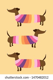 Cute set of three dachshunds in colorful sweaters. Dog collection