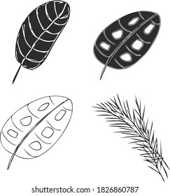 Cute set with tropical leaves. Doodle vector illustration for posters, clothing design and Wallpaper, logos and greeting cards.