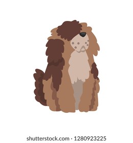 Cute shaggy dog, funny pet character, furry human friend vector Illustration