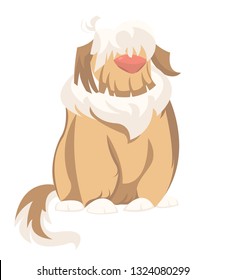Cute shaggy funny big dog breed Bobtail, full-length portrait sitting. Fluffy long tail, pet, pet, wool. Funny bright cartoon character. Vector illustration Isolated on white background.
