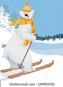 Cute shaggy polar bear skiing