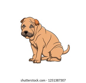 Cute Shar Pei Cartoon Dog. Vector illustration of purebred shar pei dog.