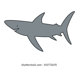 Cute Shark