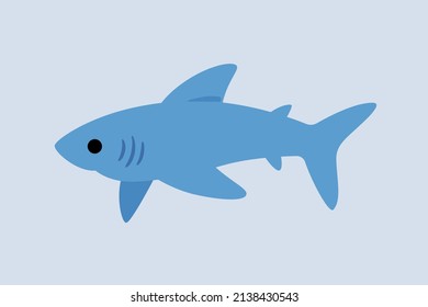 Cute shark    cartoon animal character  Vector illustration in cartoon style 