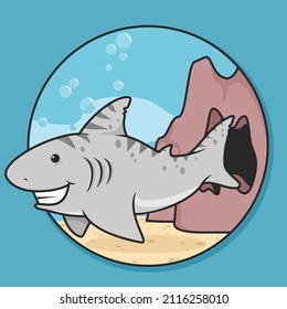 cute shark fish vector illustration