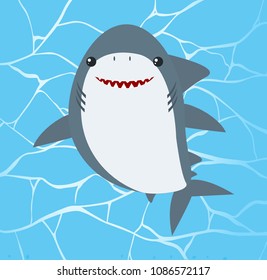 Cute Shark on Water Background illustration