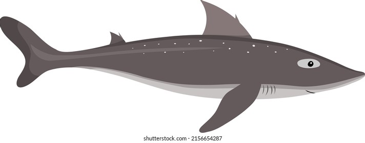 Cute shark on a white background in cartoon childish style. Vector illustration of mud shark (Squalus acanthias) for kids.