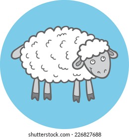 Cute Sheep