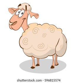 Cute sheep