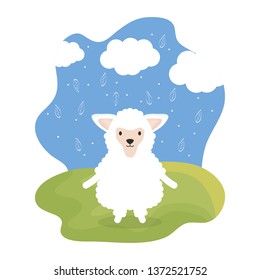cute sheep adorable character
