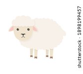 Cute sheep character. Cartoon farm animal. Vector illsutration isolated on white