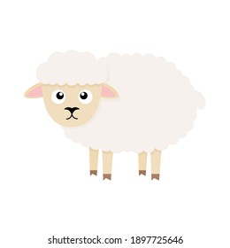Cute sheep character. Cartoon farm animal. Vector illsutration isolated on white
