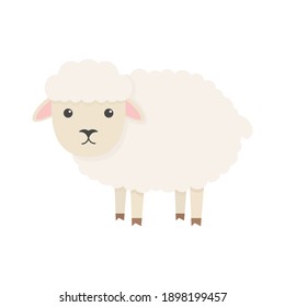 Cute sheep character. Cartoon farm animal. Vector illsutration isolated on white