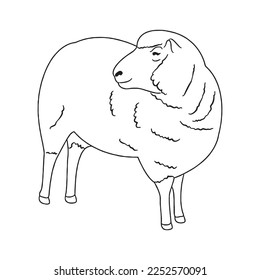 Cute Sheep With coloring book pages picture,Sheep line art,Sheep outline drawing vector illustration,Sheep vector art