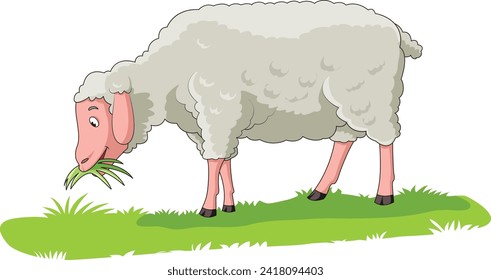 Cute sheep eating grass in a field