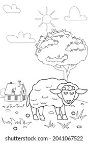 Cute sheep farm animals coloring book educational illustration for children. Rural landscape colouring page. Vector black white outline cartoon character